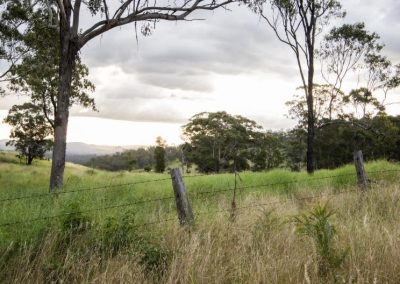 fence and Queensland property