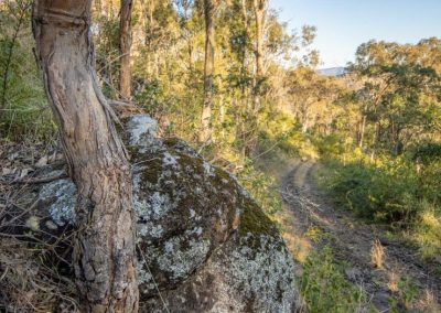 bush trek - Valhalla Glamping