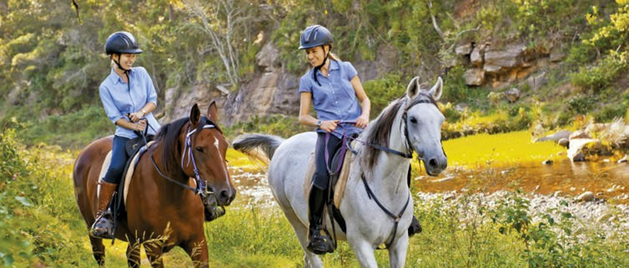 Fordsdale Horse Rides | Trail Rides