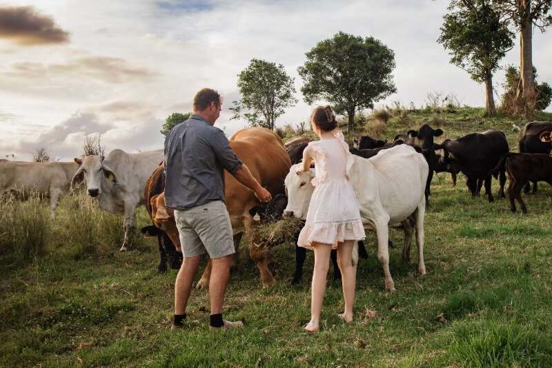 Enchanting Outdoor Experiences Await